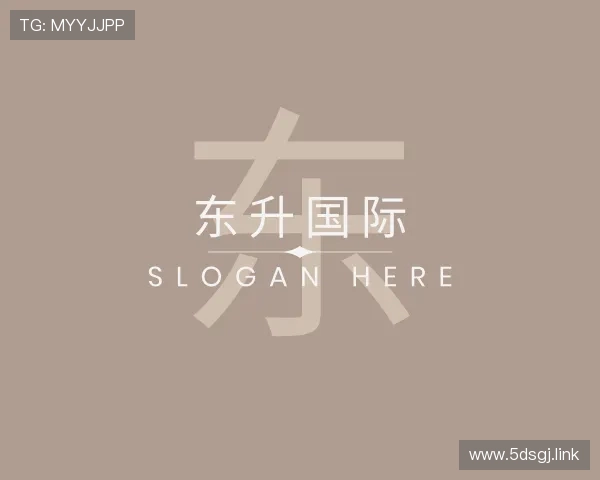 纵览东升国际
